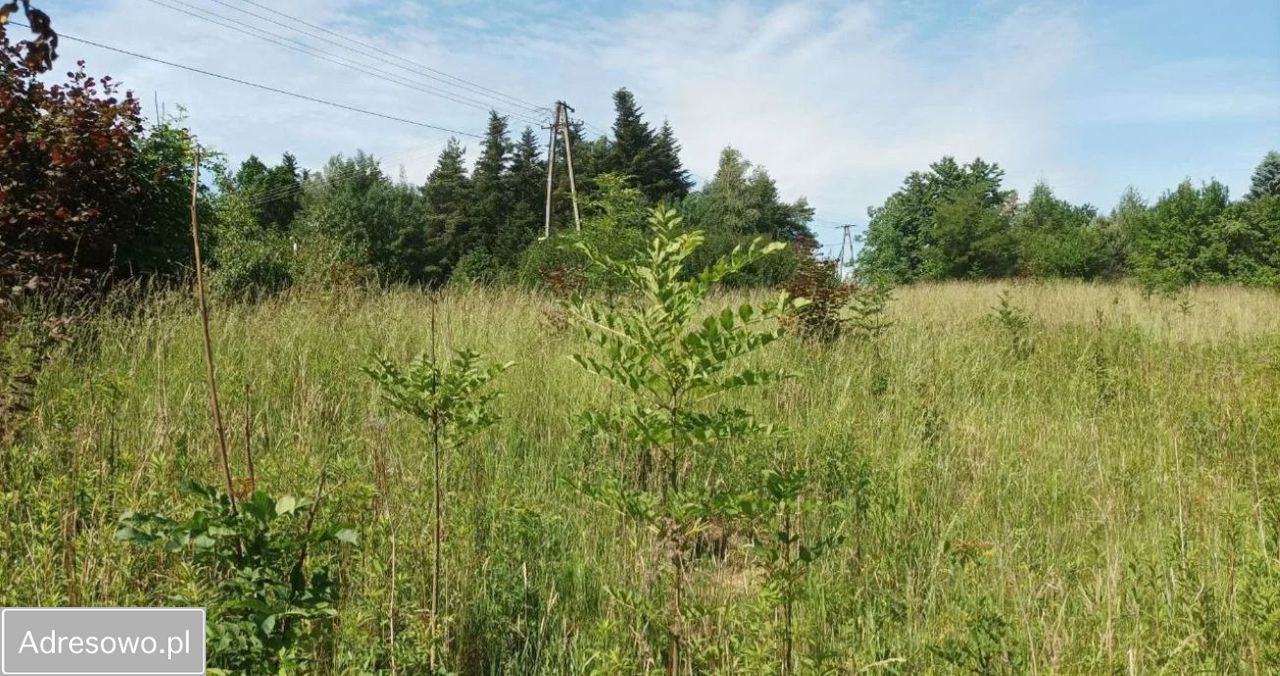 Działka budowlana Rzepiennik Strzyżewski. Zdjęcie 8