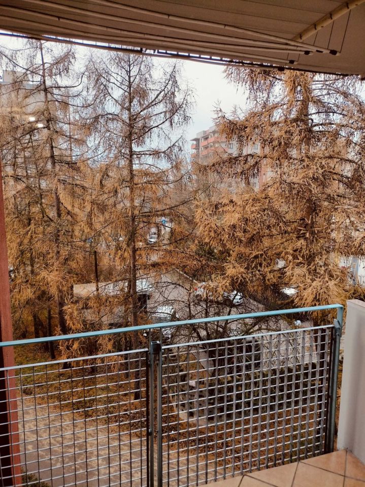 Mieszkanie 1-pokojowe Kraków Czyżyny, os. 2 Pułku Lotniczego. Zdjęcie 6