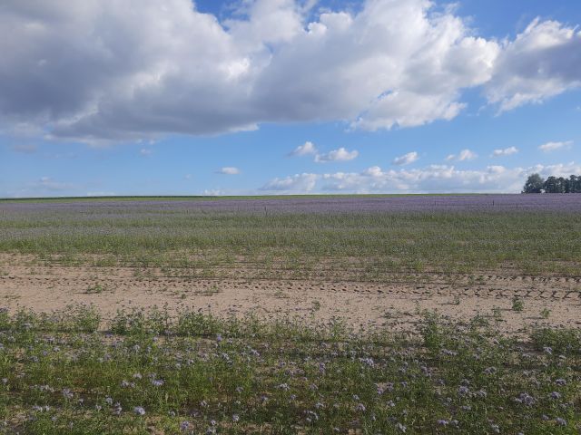 Działka budowlana Sadłogoszcz. Zdjęcie 3