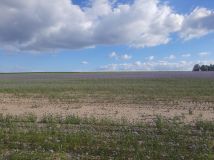 Działka budowlana Sadłogoszcz. Zdjęcie 2