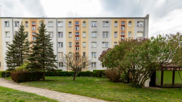 Mieszkanie 3-pokojowe Elbląg, ul. Lotnicza. Zdjęcie 14