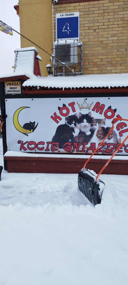 Lokal Włocławek Południe , ul. Konstantego Ildefonsa Gałczyńskiego. Zdjęcie 7