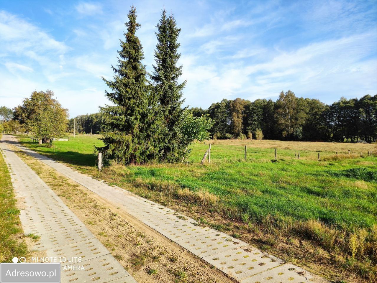 Działka rolno-budowlana Wiewiórowo. Zdjęcie 16