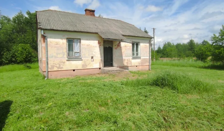 dom wolnostojący Żalin