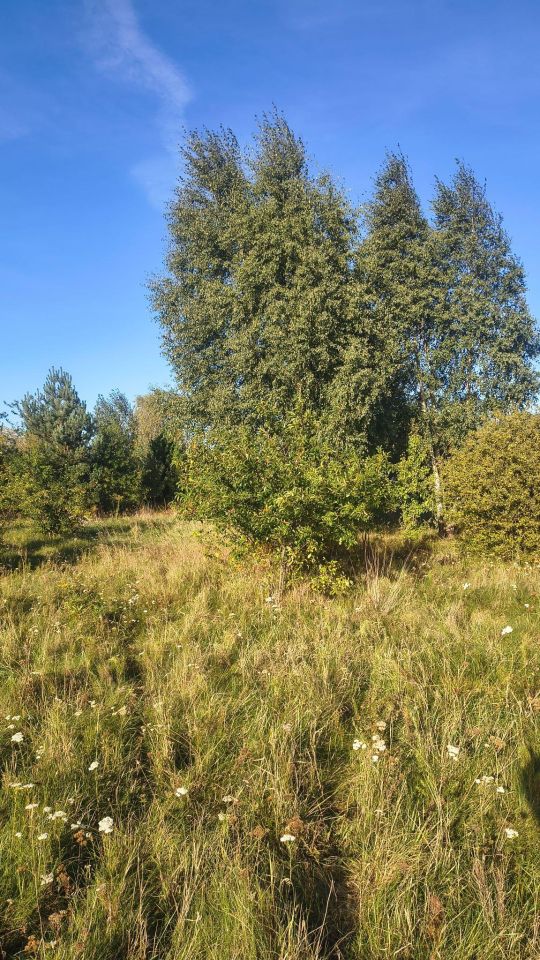 Działka budowlana Wronowice, ul. Skrzydlata. Zdjęcie 5