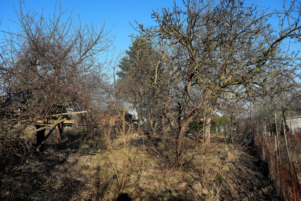 Działka rod Gdańsk Jasień, ul. mjr. Mieczysława Słabego. Zdjęcie 6