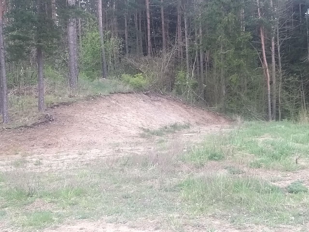 Działka rolna Dębowo. Zdjęcie 9