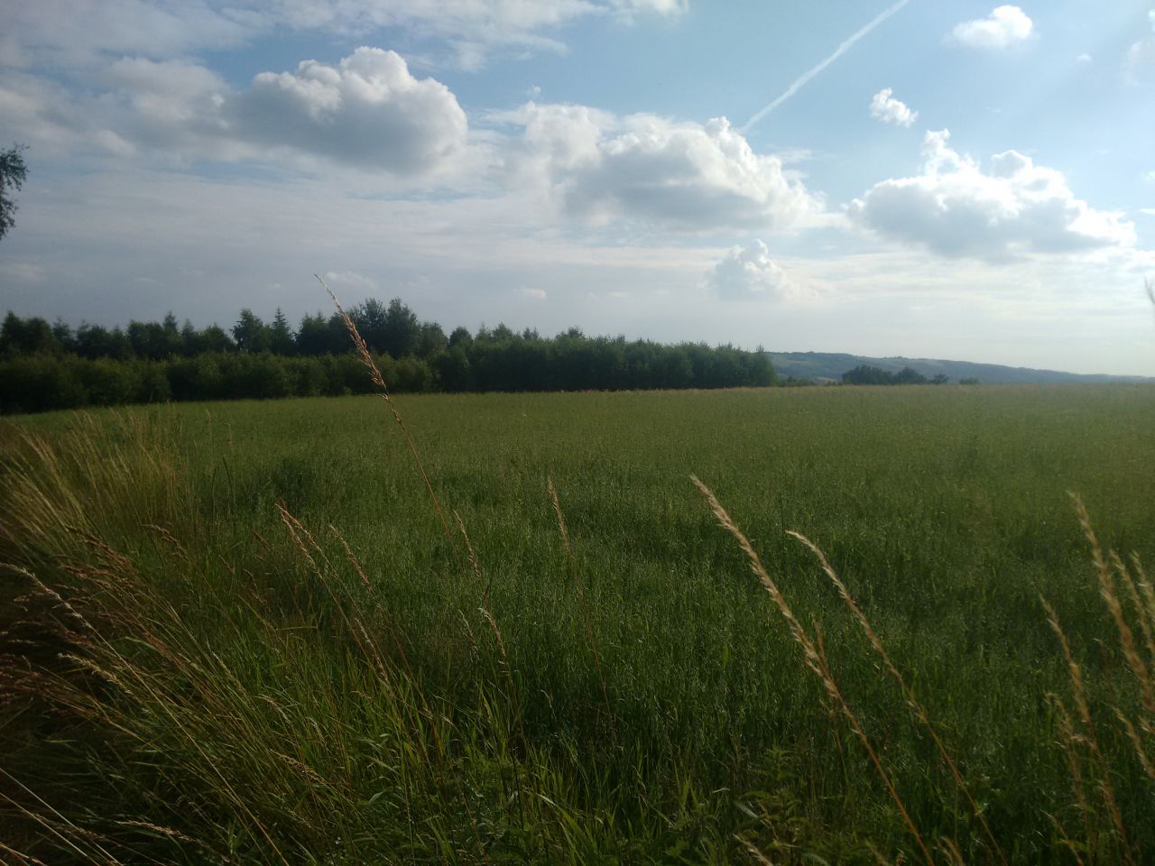 Działka budowlana Glinik Średni Kamieniec. Zdjęcie 4
