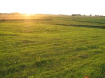 Działka siedliskowa Biała. Zdjęcie 3