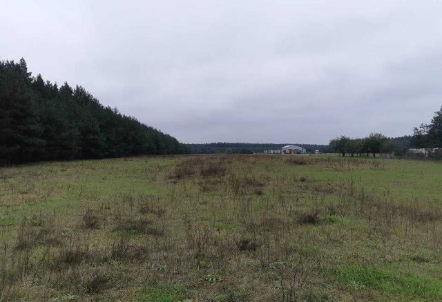 Działka budowlana Żółwiniec. Zdjęcie 1