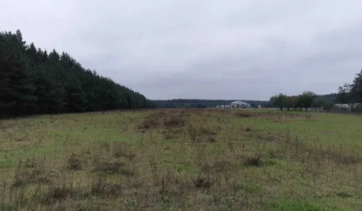 Działka budowlana Żółwieniec