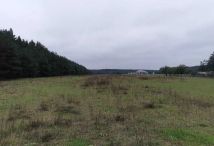 Działka budowlana Żółwiniec