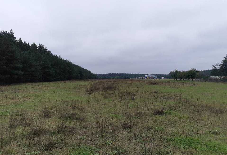 Działka budowlana Żółwiniec