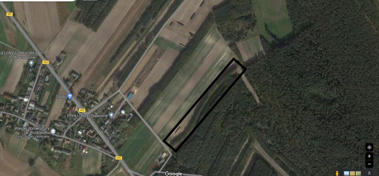 Działka rolna Brudzewek. Zdjęcie 2