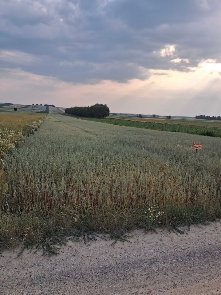 Działka rolna Piotrków Drugi. Zdjęcie 1