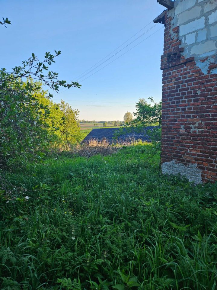 dom wolnostojący Książki
