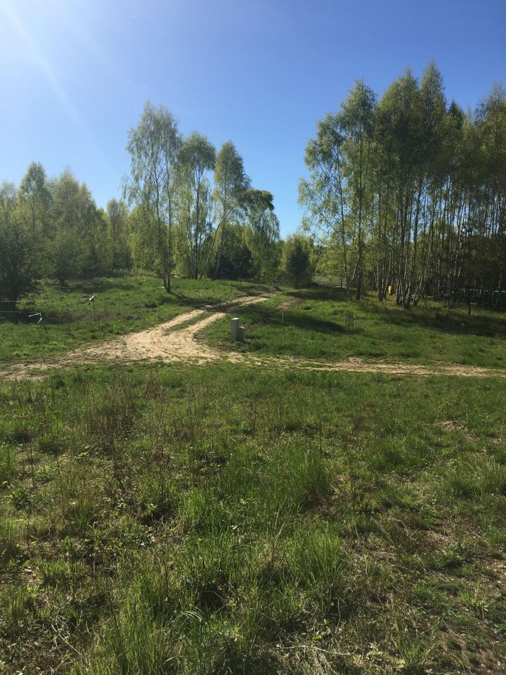 Działka budowlana Graniczna Wieś Pruska Karczma, ul. Jarzębinowa. Zdjęcie 15