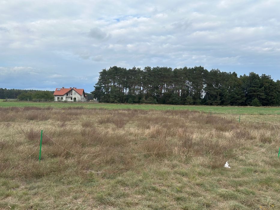 Działka budowlana Nowe Dąbie. Zdjęcie 2