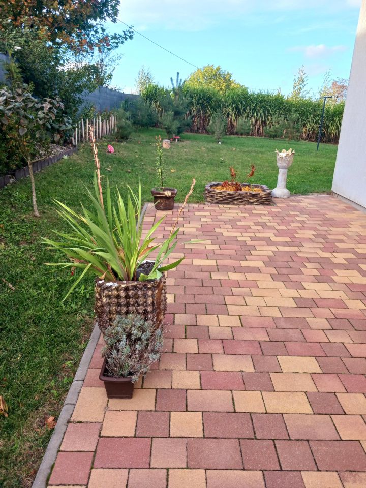 dom wolnostojący, 4 pokoje Węgiersk. Zdjęcie 12