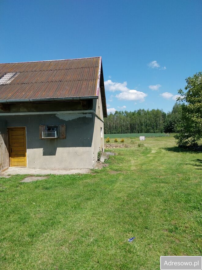 gospodarstwo, 3 pokoje Górki. Zdjęcie 3