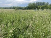 Działka budowlana Popów. Zdjęcie 4