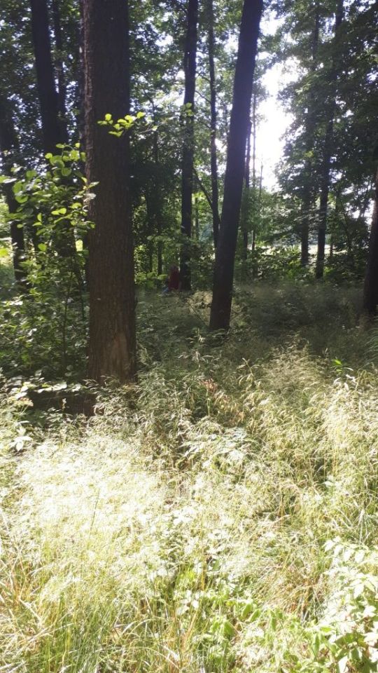 Działka rekreacyjna Żywy. Zdjęcie 4
