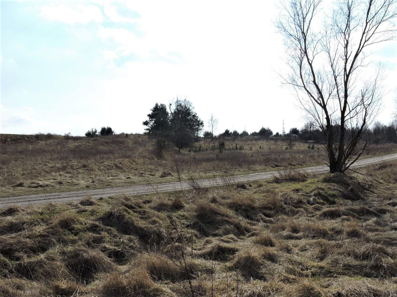 Działka rolno-budowlana Wiejca. Zdjęcie 6