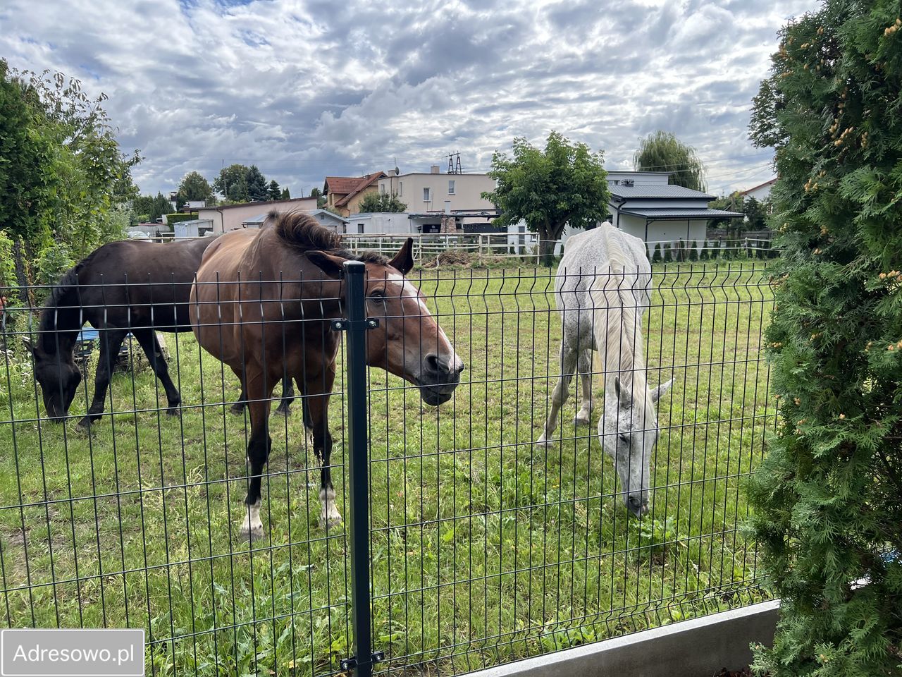 dom wolnostojący, 3 pokoje Borówno, ul. Akacjowa. Zdjęcie 7