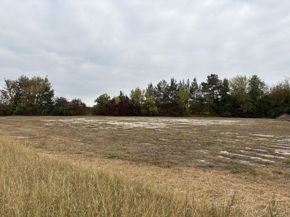 Działka inwestycyjna Zawichost. Zdjęcie 5