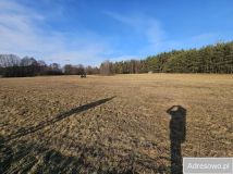 Działka rolna Kolonia Rozniszew. Zdjęcie 1