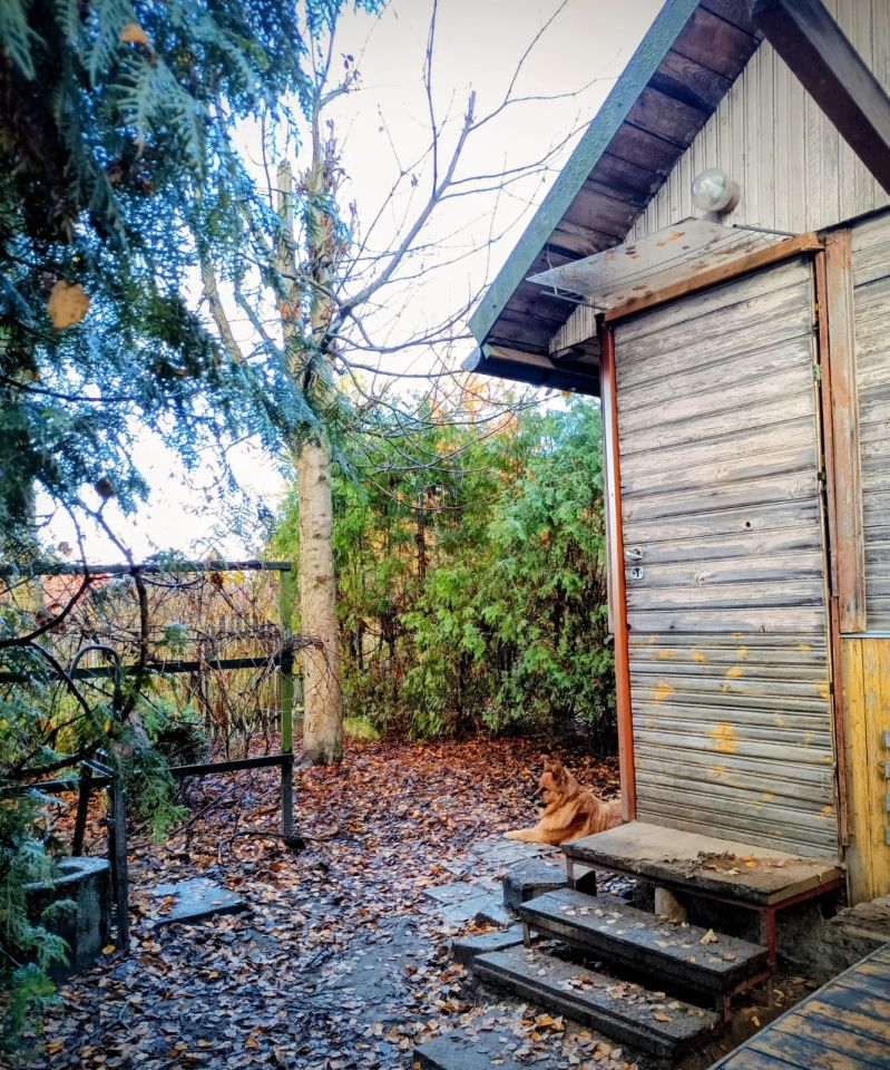 Działka rod Białystok Bagnówka, ul. Krzysztofa Pendereckiego. Zdjęcie 12