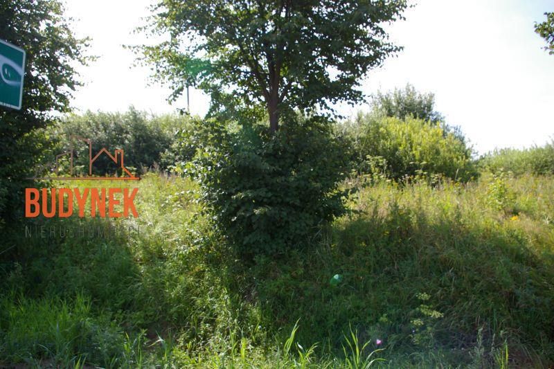 Działka budowlana Barzowice. Zdjęcie 15
