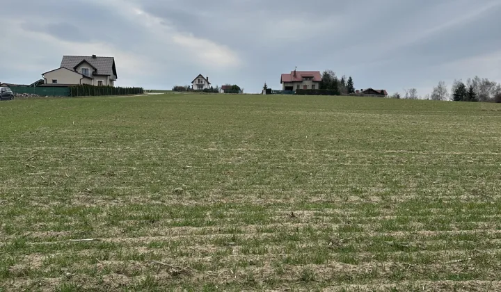 Działka rolna Powidz, ul. Widokowa