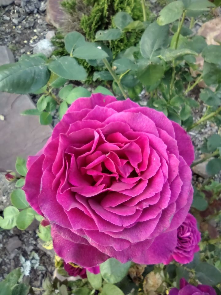 dom wolnostojący, 6 pokoi Mniów Raszówka, ul. Raszówka. Zdjęcie 33