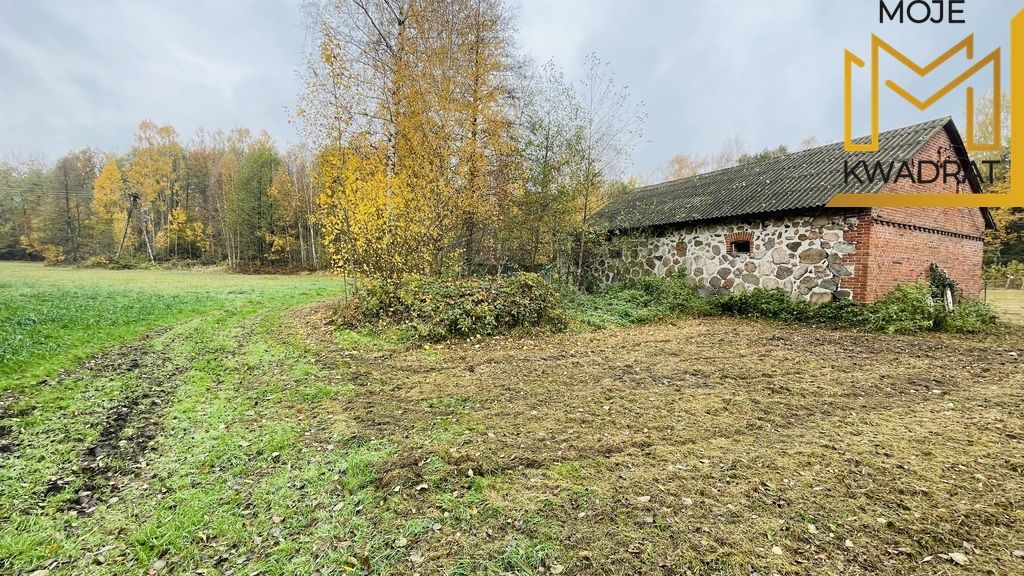 dom wolnostojący, 4 pokoje Drużbice-Kolonia. Zdjęcie 6