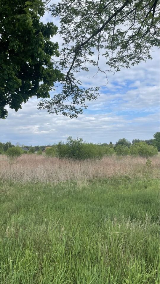 Działka budowlana Furmany, ul. Sosnowa