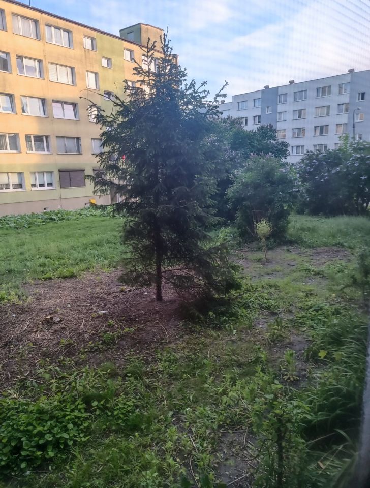 Mieszkanie 2-pokojowe Łódź Księży Młyn, ul. Wilcza. Zdjęcie 11