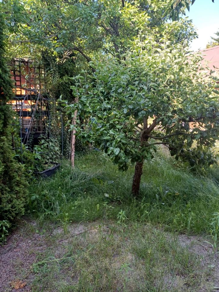 Działka rekreacyjna Żurczyn. Zdjęcie 2