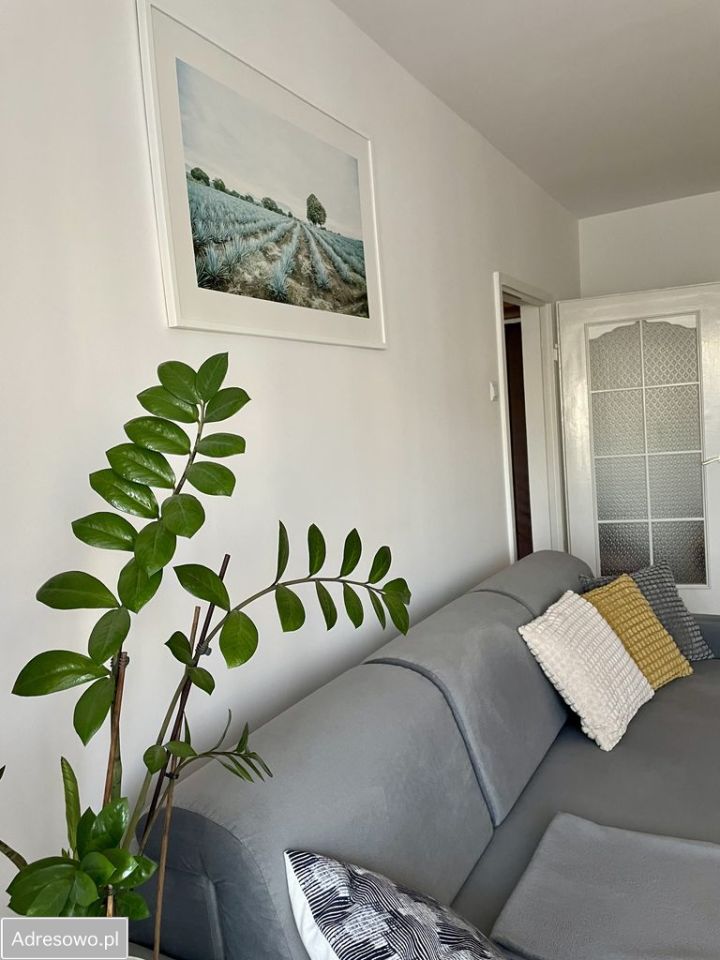 Mieszkanie 1-pokojowe Zamość, ul. Listopadowa. Zdjęcie 5