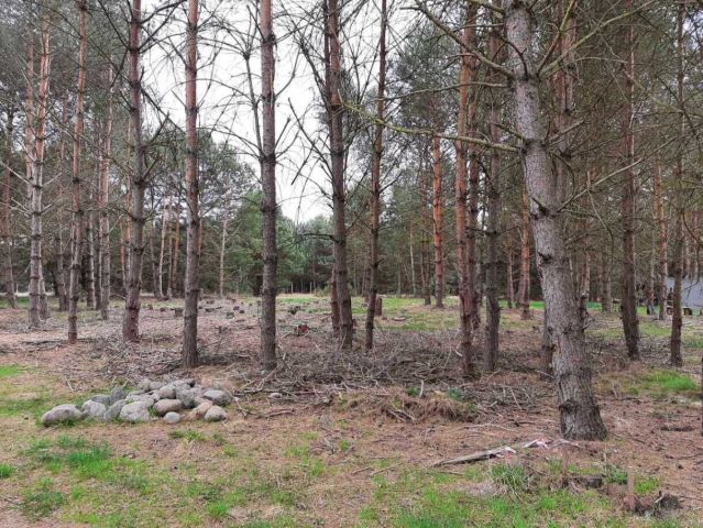 Działka budowlana Maszków. Zdjęcie 1