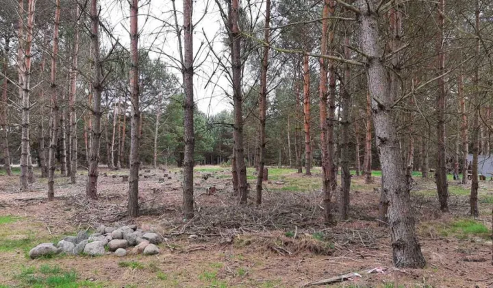 Działka budowlana Maszków
