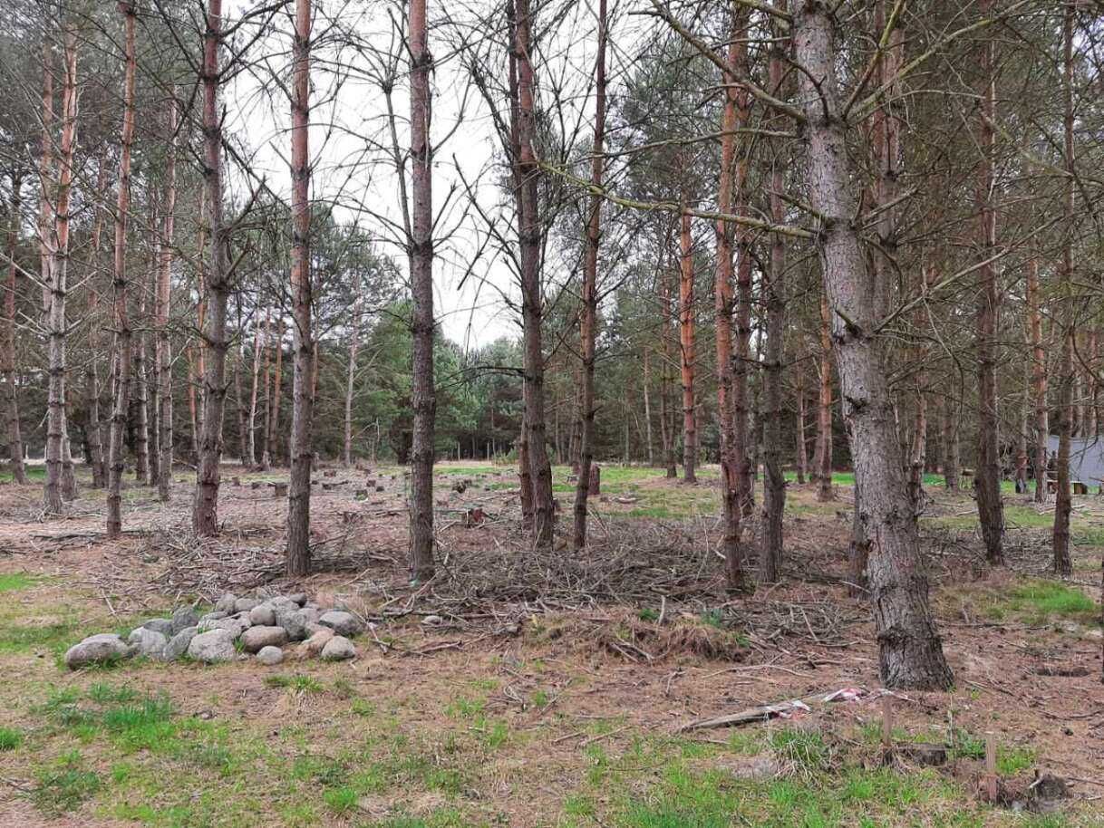 Działka budowlana Maszków. Zdjęcie 1
