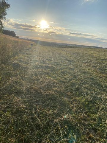 Działka rolno-budowlana Chmielno, Mierzei. Zdjęcie 1