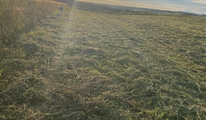 Działka rolno-budowlana Chmielno, Mierzei