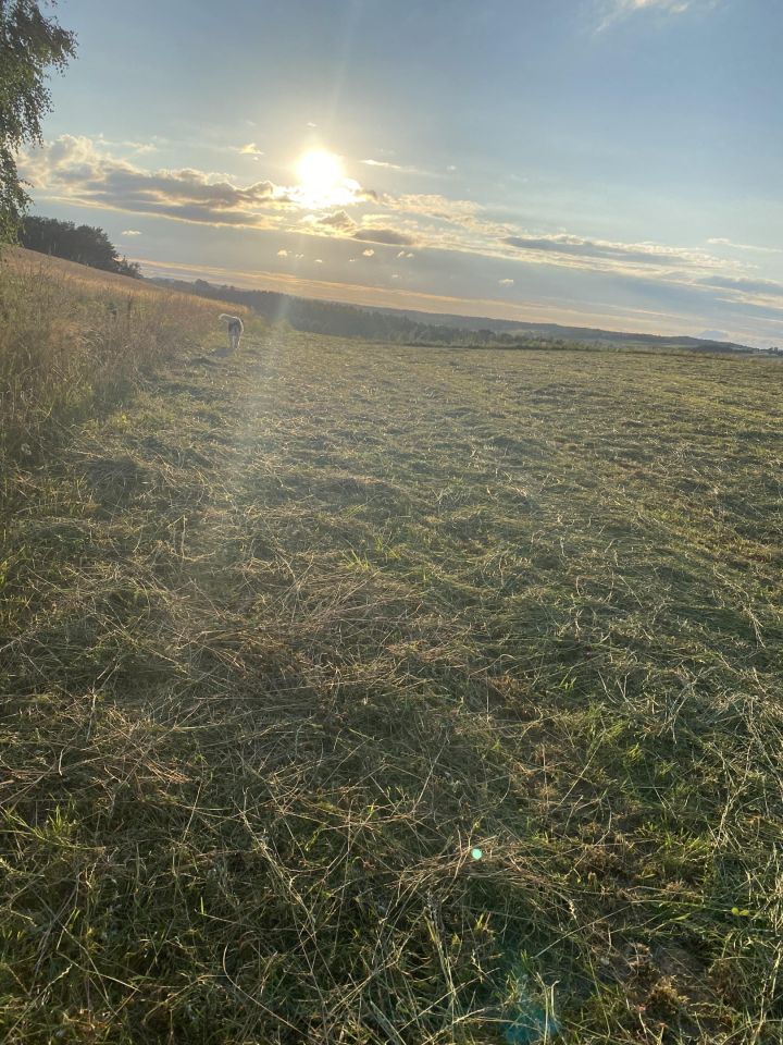 Działka na sprzedaż bez pośredników ul. Mierzei Chmielno