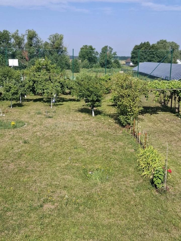 Działka budowlana Białołęka. Zdjęcie 1