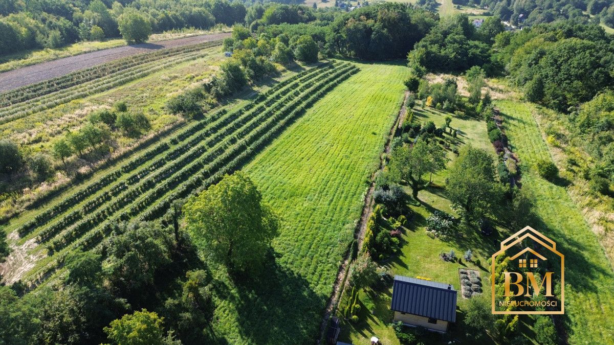 Działka siedliskowa Kazimierz Dolny, Góry. Zdjęcie 10
