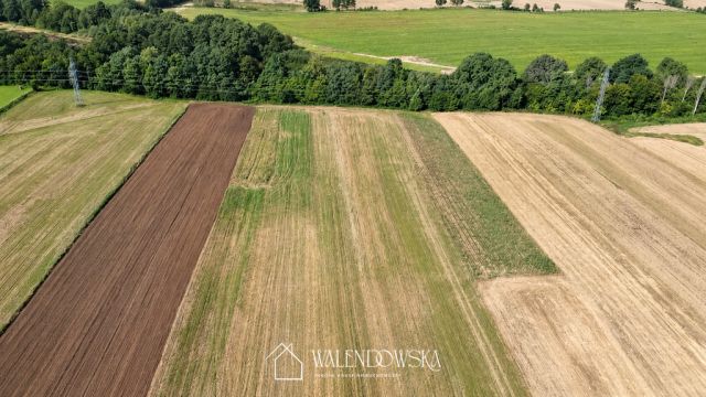Działka Postomino. Zdjęcie 7