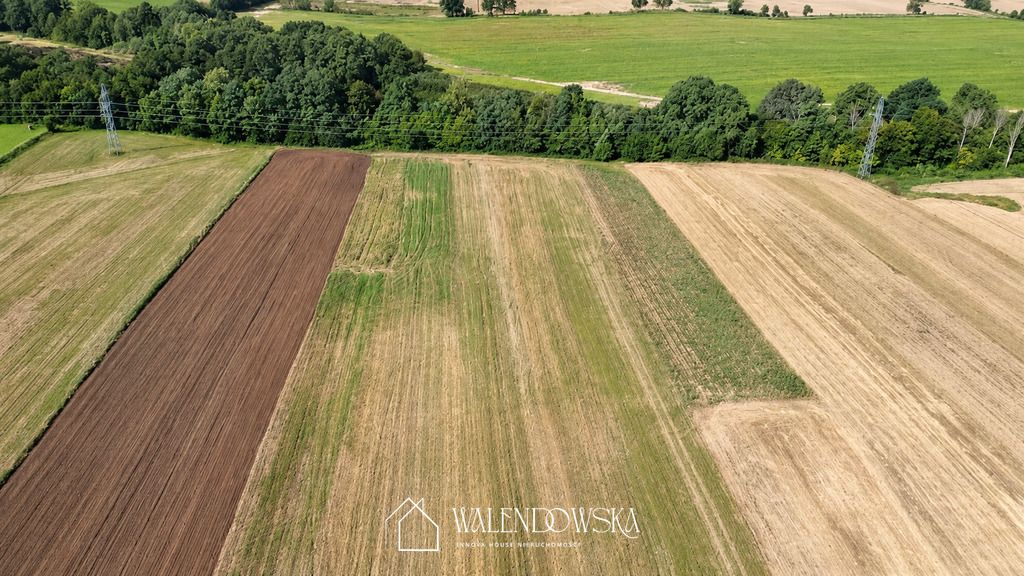Działka Postomino. Zdjęcie 7