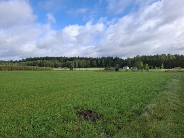 Działka budowlana Łążek, ul. Tleńska. Zdjęcie 1